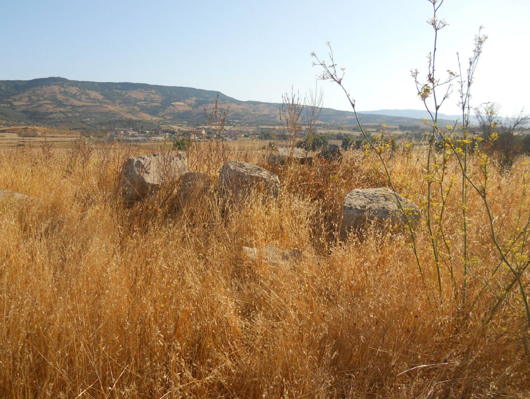 Nuraghe Turriga