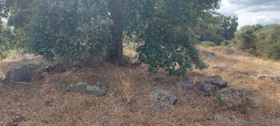 Area archeologica di Prato Sardo