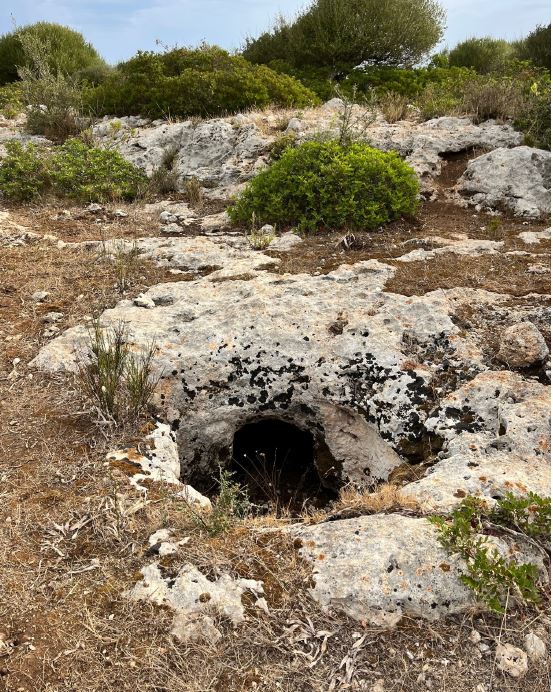Tomba ipogeica di Truncu Reale