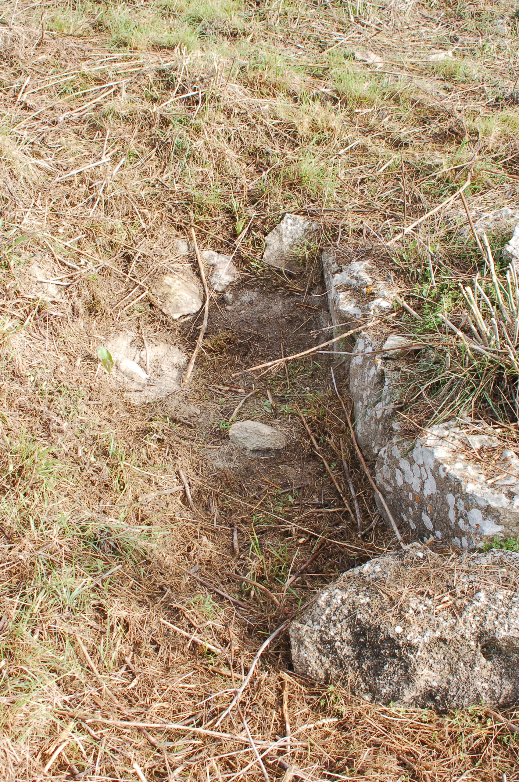 Complesso archeologico di Bruncu Mannu