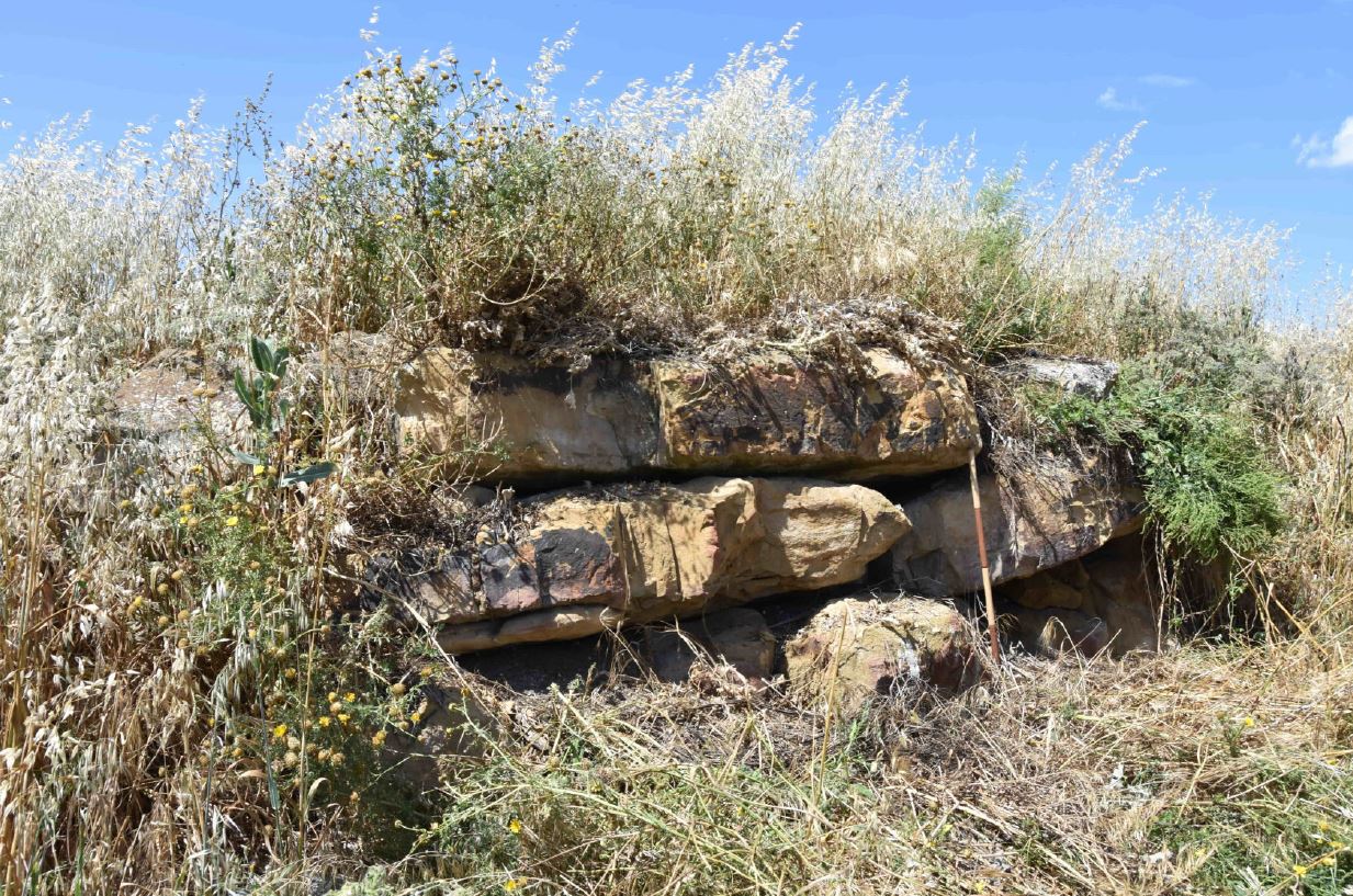 Nuraghe Nureci
