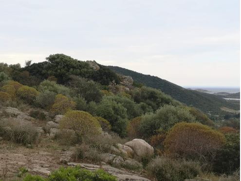 Nuraghe Giovanni Matta