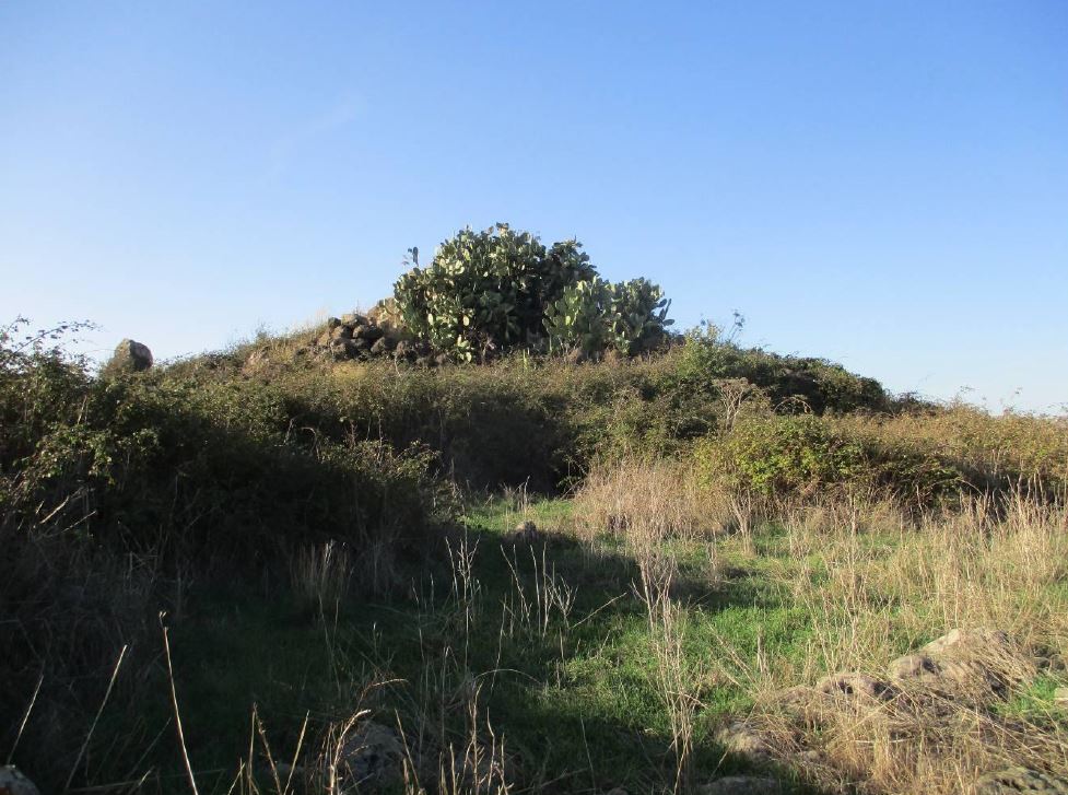 Nuraghe Mannu